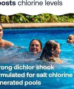 HTH 52047 Swimming Pool Care Salt Shock, Stabilized Chlorinator, 1 dose Treats 10000 gallons, 5x12oz Packets - 4